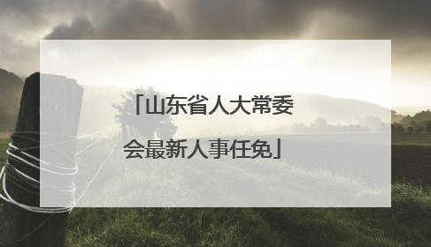 山东省人大常委会最新人事任免