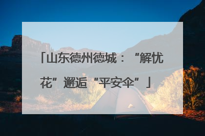 山东德州德城：“解忧花”邂逅“平安伞”