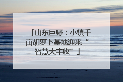 山东巨野：小镇千亩胡萝卜基地迎来“智慧大丰收”