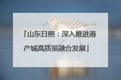 山东日照：深入推进港产城高质量融合发展