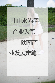 山水为墨 产业为笔——陕南产业发展走笔