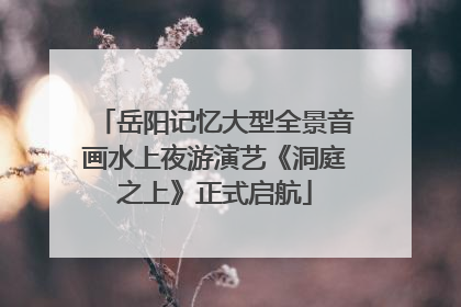 岳阳记忆大型全景音画水上夜游演艺《洞庭之上》正式启航