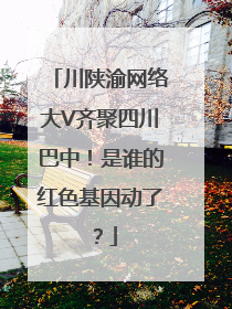 川陕渝网络大V齐聚四川巴中！是谁的红色基因动了？