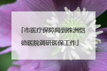 市医疗保障局到株洲恺德医院调研医保工作
