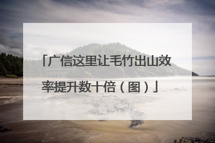 广信这里让毛竹出山效率提升数十倍（图）