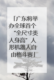 广东将举办全球首个“全尺寸类人身高”人形机器人自由格斗赛