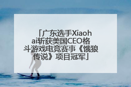 广东选手Xiaohai斩获美国CEO格斗游戏电竞赛事《饿狼传说》项目冠军