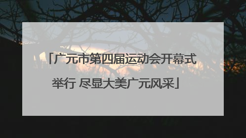 广元市第四届运动会开幕式举行 尽显大美广元风采