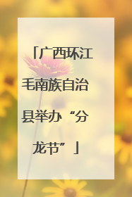 广西环江毛南族自治县举办“分龙节”