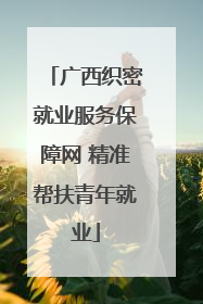 广西织密就业服务保障网 精准帮扶青年就业