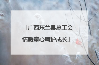 广西东兰县总工会情暖童心呵护成长