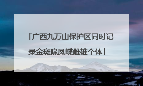 广西九万山保护区同时记录金斑喙凤蝶雌雄个体