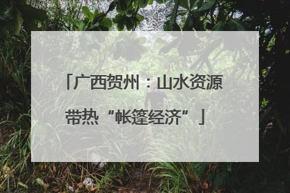 广西贺州：山水资源带热“帐篷经济”