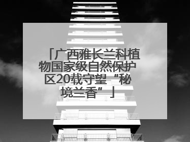 广西雅长兰科植物国家级自然保护区20载守望“秘境兰香”