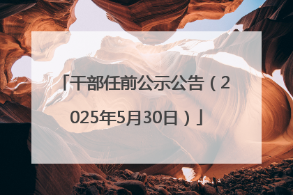 干部任前公示公告（2025年5月30日）