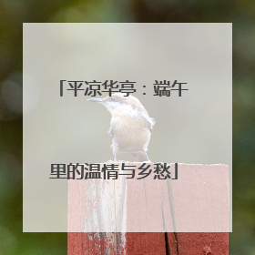 平凉华亭：端午里的温情与乡愁