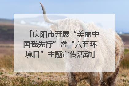 庆阳市开展“美丽中国我先行”暨“六五环境日”主题宣传活动