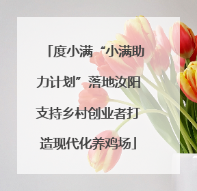 度小满“小满助力计划”落地汝阳支持乡村创业者打造现代化养鸡场