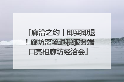 廊洽之约丨即买即退！廊坊离境退税服务端口亮相廊坊经洽会