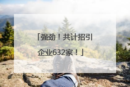 强劲！共计招引企业632家！