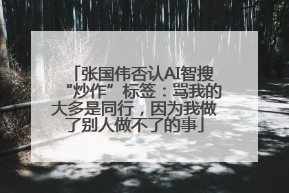 张国伟否认AI智搜“炒作”标签：骂我的大多是同行，因为我做了别人做不了的事