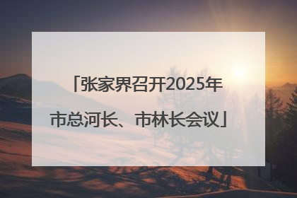 张家界召开2025年市总河长、市林长会议