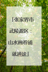 张家界市武陵源区：山水画卷铺就通途