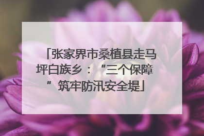张家界市桑植县走马坪白族乡：“三个保障”筑牢防汛安全堤