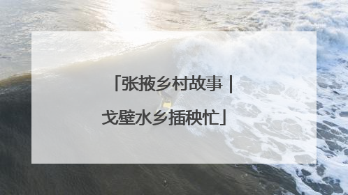 张掖乡村故事｜戈壁水乡插秧忙