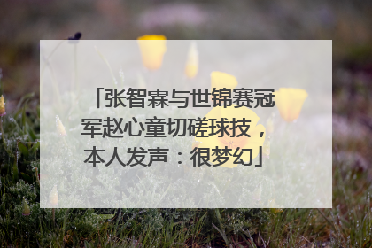 张智霖与世锦赛冠军赵心童切磋球技，本人发声：很梦幻