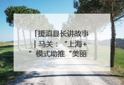 援滇县长讲故事｜马关：“上海+”模式助推“美丽产业”幸福绽放