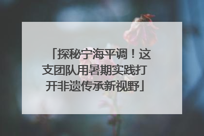 探秘宁海平调！这支团队用暑期实践打开非遗传承新视野