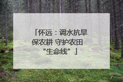 怀远：调水抗旱保农耕 守护农田 “生命线”