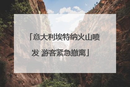 意大利埃特纳火山喷发 游客紧急撤离