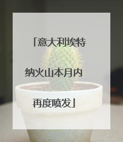 意大利埃特纳火山本月内再度喷发