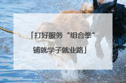 打好服务“组合拳” 铺就学子就业路