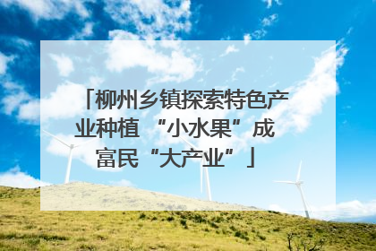 柳州乡镇探索特色产业种植 “小水果”成富民“大产业”