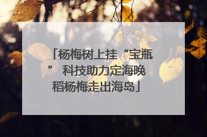 杨梅树上挂“宝瓶” 科技助力定海晚稻杨梅走出海岛