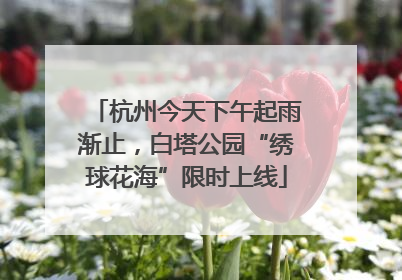 杭州今天下午起雨渐止，白塔公园“绣球花海”限时上线