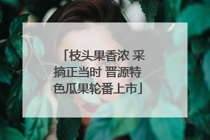 枝头果香浓 采摘正当时 晋源特色瓜果轮番上市