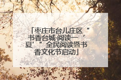 枣庄市台儿庄区“书香台城·阅读一‘夏’”全民阅读暨书香文化节启动
