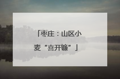 枣庄：山区小麦“喜开镰”