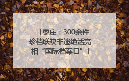 枣庄：300余件珍档联袂非遗绝活亮相“国际档案日”