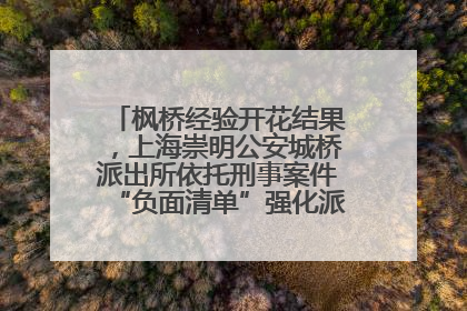 枫桥经验开花结果，上海崇明公安城桥派出所依托刑事案件“负面清单”强化派出所“主防”