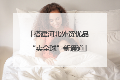 搭建河北外贸优品“卖全球”新通道