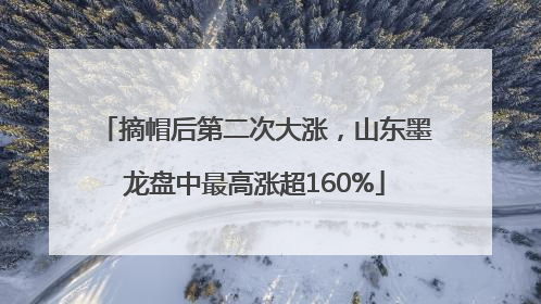 摘帽后第二次大涨，山东墨龙盘中最高涨超160%