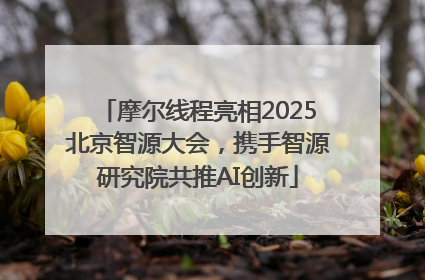 摩尔线程亮相2025北京智源大会，携手智源研究院共推AI创新
