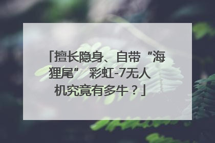 擅长隐身、自带“海狸尾” 彩虹-7无人机究竟有多牛？