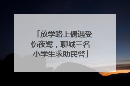 放学路上偶遇受伤夜鹭，聊城三名小学生求助民警