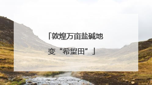 敦煌万亩盐碱地变“希望田”